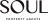 Soul Property Agents
